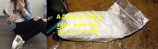 стаф Гусиноозёрск