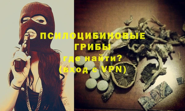 марки nbome Гусь-Хрустальный