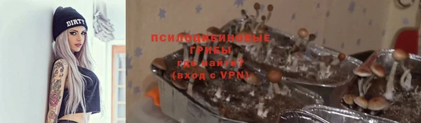 стаф Гусиноозёрск