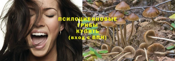 марки nbome Гусь-Хрустальный