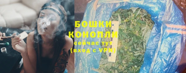 прущая мука Дмитриев